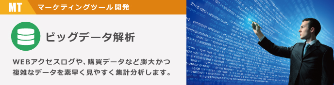 ビッグデータ解析