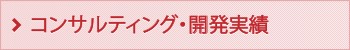 コンサルティング・開発実績